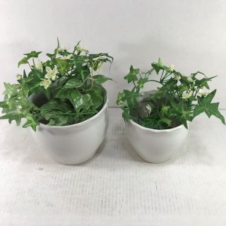 陶器 植木鉢 白 2点セット(プランター)