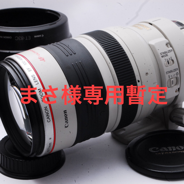 Canon レンズ EF100-400mm F4.5-5.6L IS USM