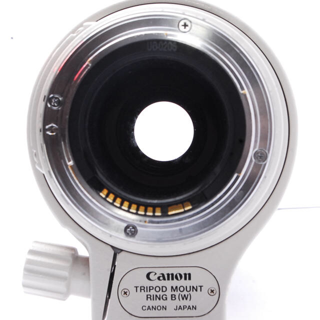 Canon レンズ EF100-400mm F4.5-5.6L IS USM