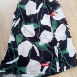 シュプリーム(Supreme)のＬ Supreme nylon water short(水着)