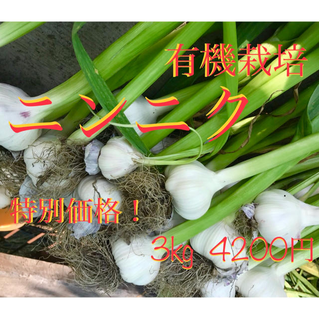 everyday78様　　　専用 食品/飲料/酒の食品(野菜)の商品写真