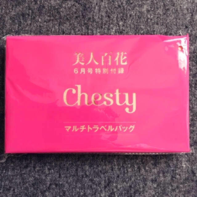 Chesty(チェスティ)のchesty マルチトラベル インテリア/住まい/日用品の日用品/生活雑貨/旅行(旅行用品)の商品写真