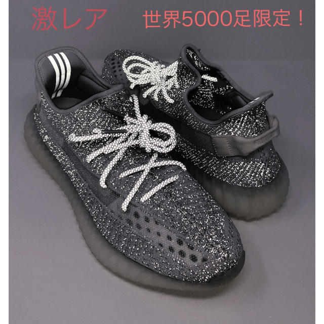 絶滅危惧種　adidas yeezy boost 350 希少30センチ