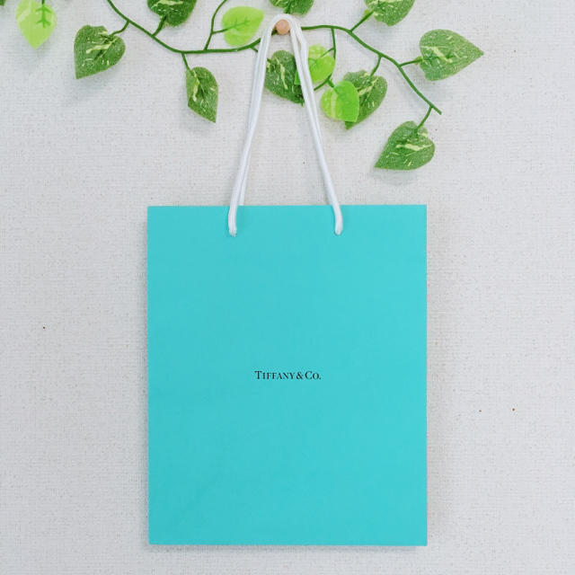 Tiffany & Co.(ティファニー)のティファニー紙袋☆ レディースのバッグ(ショップ袋)の商品写真