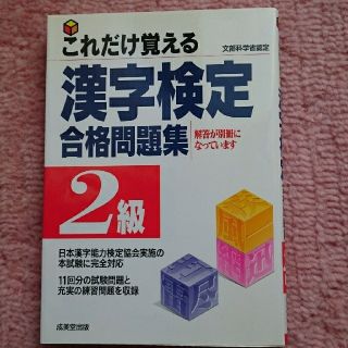 これだけ覚える 漢字検定 合格問題集 2級(資格/検定)