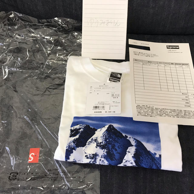 supreme north face mountain tee M