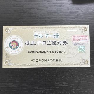 テルマー湯 株主優待券 1枚(その他)