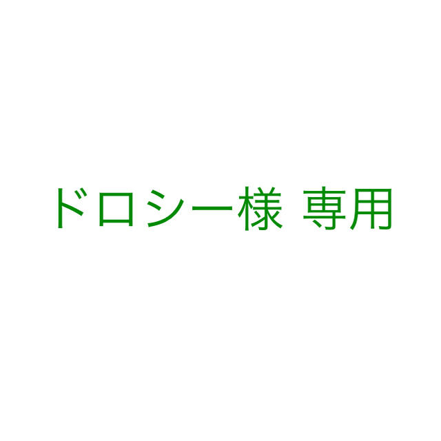 ドロシー様 ハンコオーダーページ ハンドメイドの文具/ステーショナリー(はんこ)の商品写真