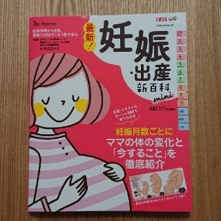 妊娠・出産新百科(たまひよ・ベネッセムック)(住まい/暮らし/子育て)