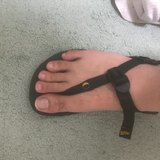 Teva(テバ)のLuna sandals mono 2019年モデル 26〜26.5 メンズの靴/シューズ(スニーカー)の商品写真