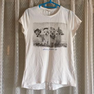 ザラキッズ(ZARA KIDS)のザラ プリント Tシャツ(Tシャツ(半袖/袖なし))