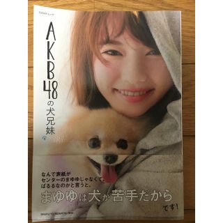 エーケービーフォーティーエイト(AKB48)のAKB48の犬兄妹(アート/エンタメ/ホビー)