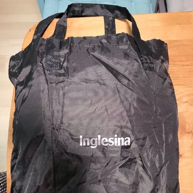 Inglesina(イングリッシーナ)のイングリッシーナ ファスト
 キッズ/ベビー/マタニティの外出/移動用品(その他)の商品写真