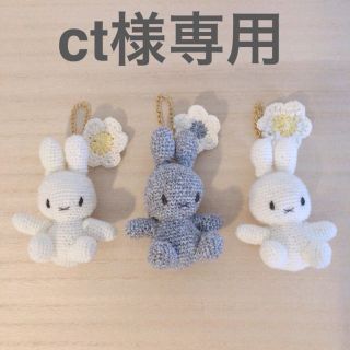 ♡ ct様専用 ♡(あみぐるみ)