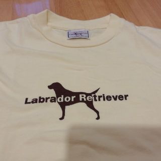 ラブラドールリトリーバー(Labrador Retriever)の【値下げ!】ラブラドールレトリバーTシャツ　Mサイズ(Tシャツ(半袖/袖なし))