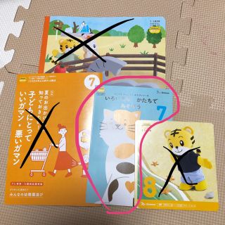 こどもちゃれんじ ぽけっと 7月号 ねこのみ！(知育玩具)