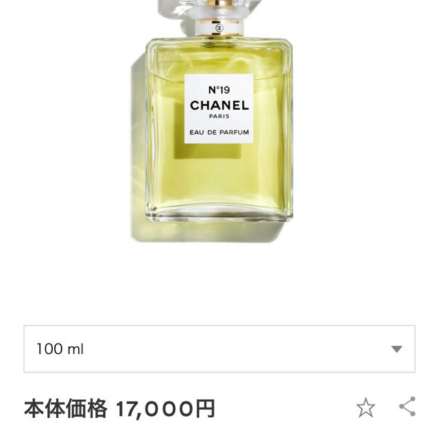 CHANEL N°19  100ml オードゥパルファム シャネル 香水