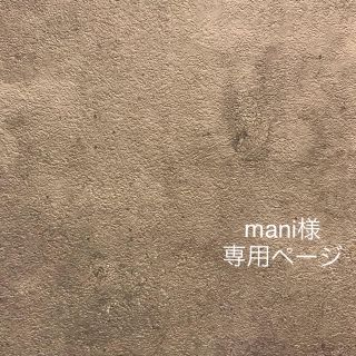 mani様 専用ページ(ピアス)