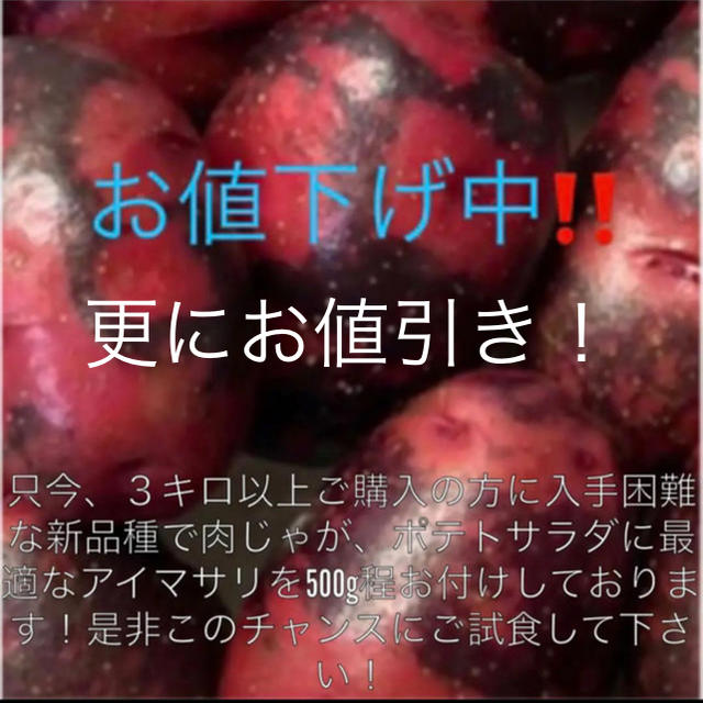 デストロイヤー Ｍ〜Ｌサイズ混 5Kg 北海道産 グランドペチカ 出荷時期 10〜4月 生産元直送 毎日がバーゲンセール