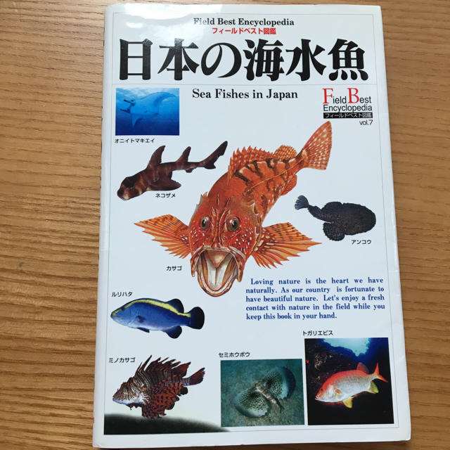 日本の海水魚の通販 By プーストロベリー S Shop ラクマ