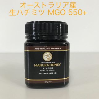 マヌカハニー 550+(その他)