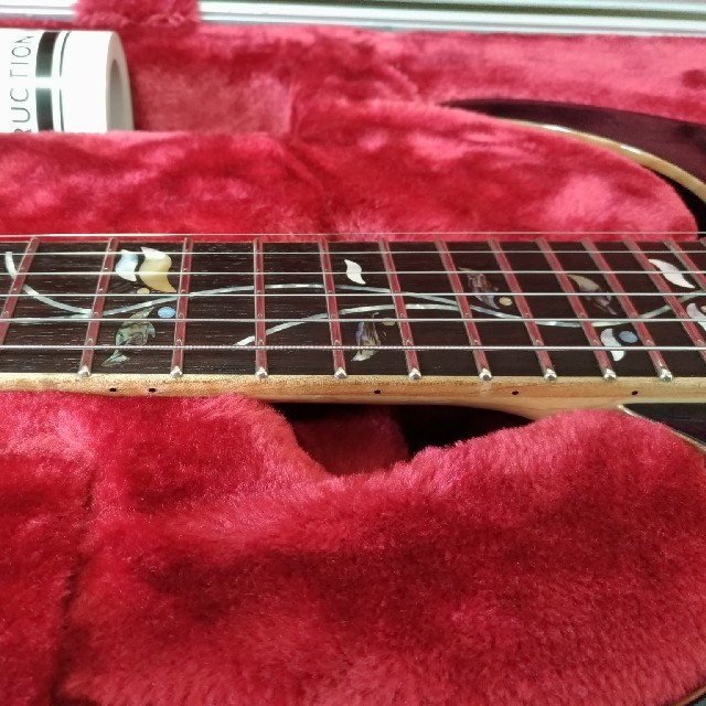 新しい季節 ibanez RG8420ZD BX j-custom Jカスタム エレキギター