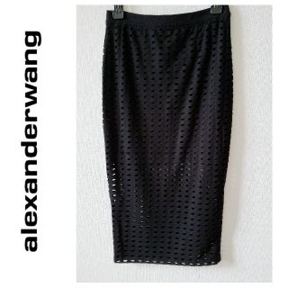 アレキサンダーワン(Alexander Wang)のアレキサンダーワン　ホールスカート(ひざ丈スカート)