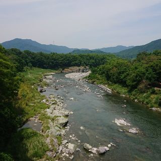 セイカツノキ(生活の木)のミカリン様専用(茶)