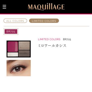 マキアージュ(MAQuillAGE)のyo-san様専用 マキアージュ ドラマティックスタイリングアイズ限定色(アイシャドウ)