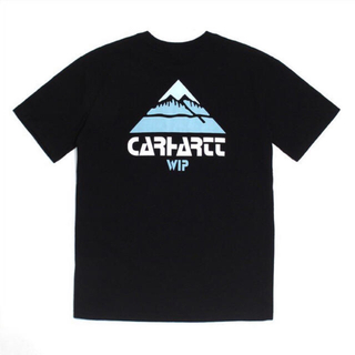 カーハート(carhartt)のcarhartt wip マウンテンtシャツ 新品未使用(Tシャツ/カットソー(半袖/袖なし))