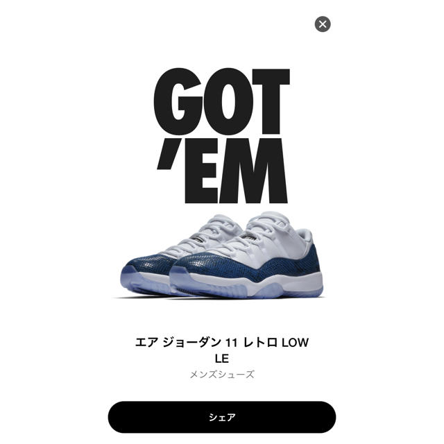 NIKE(ナイキ)のエアジョーダン 11 レトロ LOW スネークスキン AJ11 aj メンズの靴/シューズ(スニーカー)の商品写真