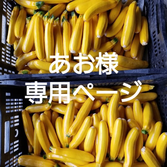 あお様専用ページ 食品/飲料/酒の食品(野菜)の商品写真