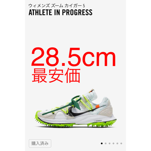 (最安値)NIKE × off white ZOOM TERRA KIGER 5