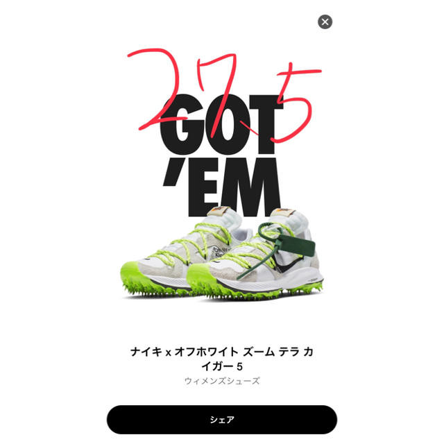 NIKE(ナイキ)のナイキ オフホワイト ズーム テラ カイガー メンズの靴/シューズ(スニーカー)の商品写真