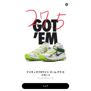 ナイキ(NIKE)のナイキ オフホワイト ズーム テラ カイガー(スニーカー)