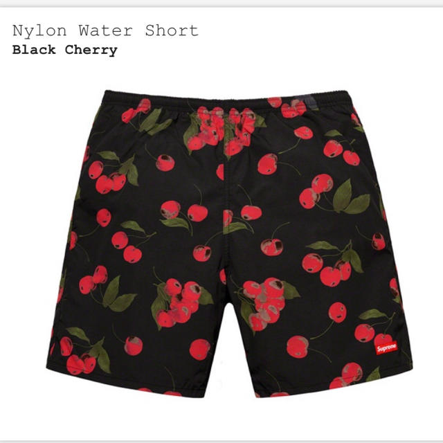 Supreme Nylon Water Short Black Cherry S