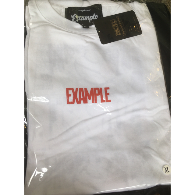 EXAMPLE （ エグザンプル ）x ONE PIECE BUGGY TEE