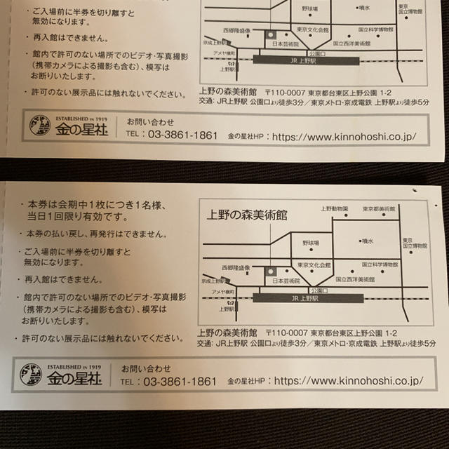 上野の森美術館   金の船・金の星 チケットの施設利用券(美術館/博物館)の商品写真