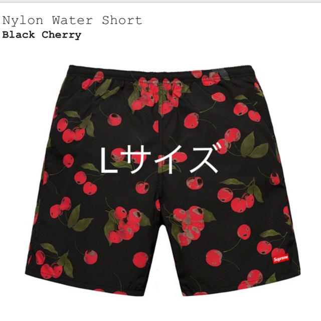 Supreme Nylon Water Short水着