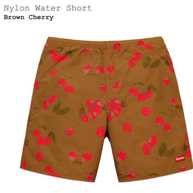 Nylon Water Short ブラウン L