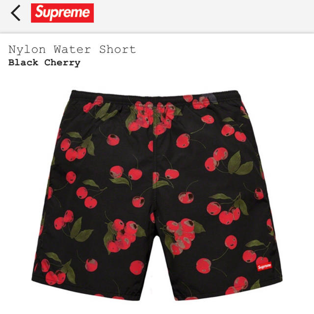 supreme  Nylon Water Short