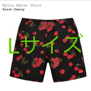 シュプリーム(Supreme)のsupreme nylon water short(水着)