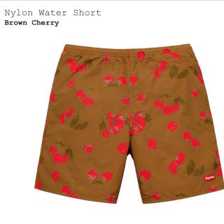 シュプリーム(Supreme)のsupreme nylon water short brown cherry S(水着)