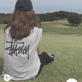 ステューシー(STUSSY)のステューシー × チャンピオン コラボ Tシャツ グレー M(Tシャツ(半袖/袖なし))