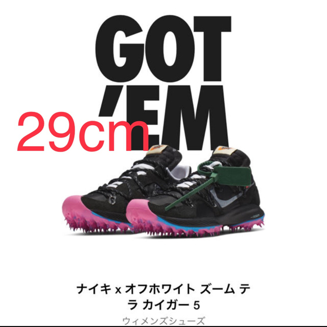 Nike×off-white ズームテラカイガー5