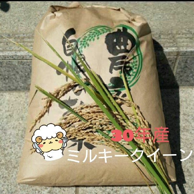 Mr.noodle様専用です😊ミルキークイーン玄米10kg 食品/飲料/酒の食品(米/穀物)の商品写真