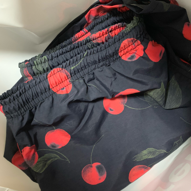 Supreme Nylon Water Short black cherry S