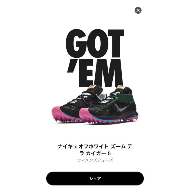 Nike Off Whiteコラボズームカイガー5