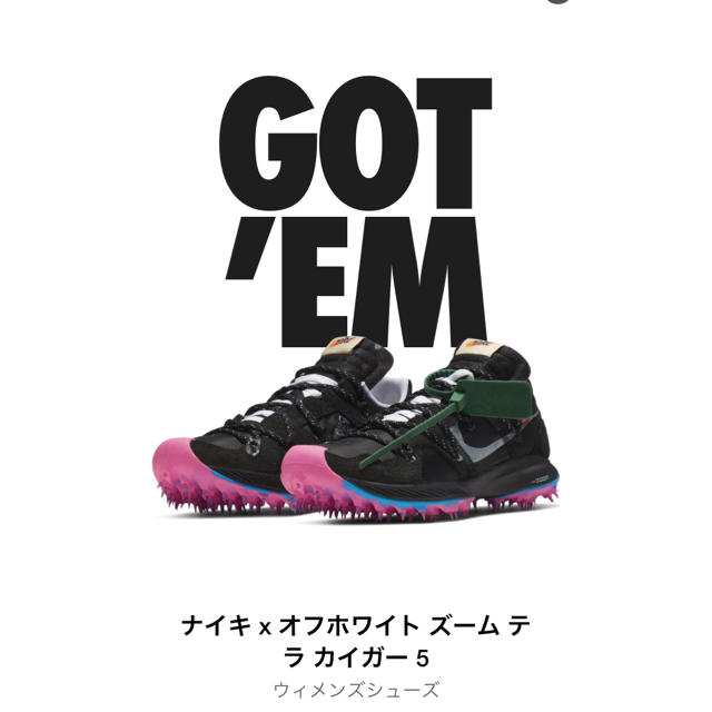 スニーカーNike x Off-White Zoom Terra Kiger 5