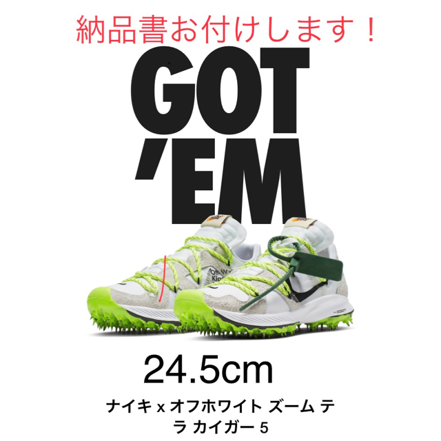 NIKE × off white ZOOM TERRA KIGER 5